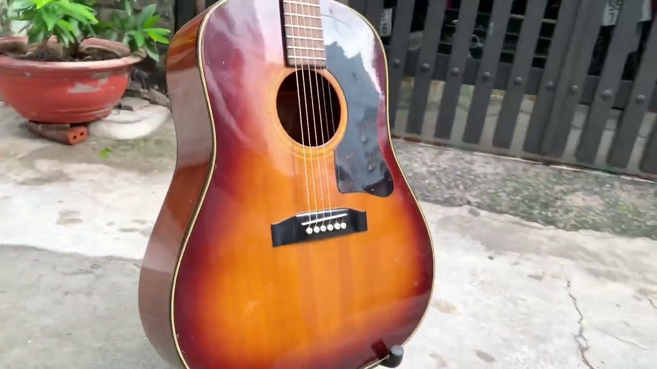 Guitar Acoustic Morris WG-25 . 