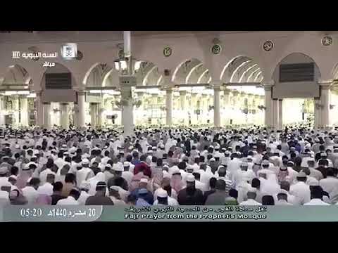تلاوة فجرية هادئة من الحرم النبوي بصوت القارئ الشيخ أحمد بن طالب حميد سورة نوح