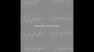 Submotion Orchestra - Rearview Mirror Official Music Video