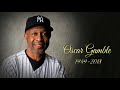 Oscar Gamble tribute
