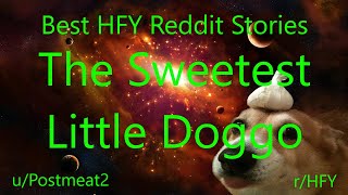 Best HFY Reddit Stories The Sweetest Little Doggo