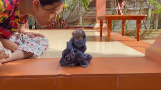 Weepinq Bb Mnkey Tri To Refusing Her Language With Mom