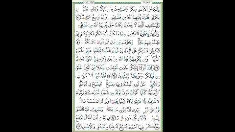 سورة النور الصفحة  ٣٥٤