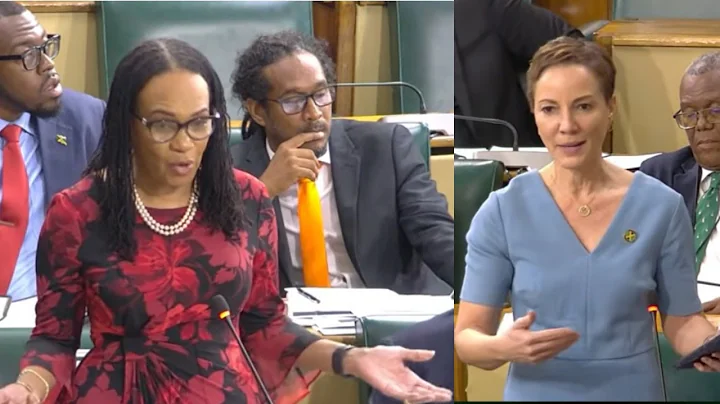 PNP Senator Makes a Clarification Many Jamaicans Didn’t Expect!