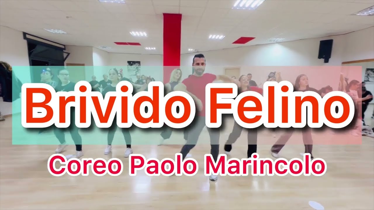 BRIVIDO FELINO ♦️ Joe C Remix coreo Paolo Marincolo