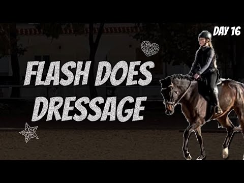 DRESSAGE VLOG WITH FLASH | Vlogmas 16 | Varvara L