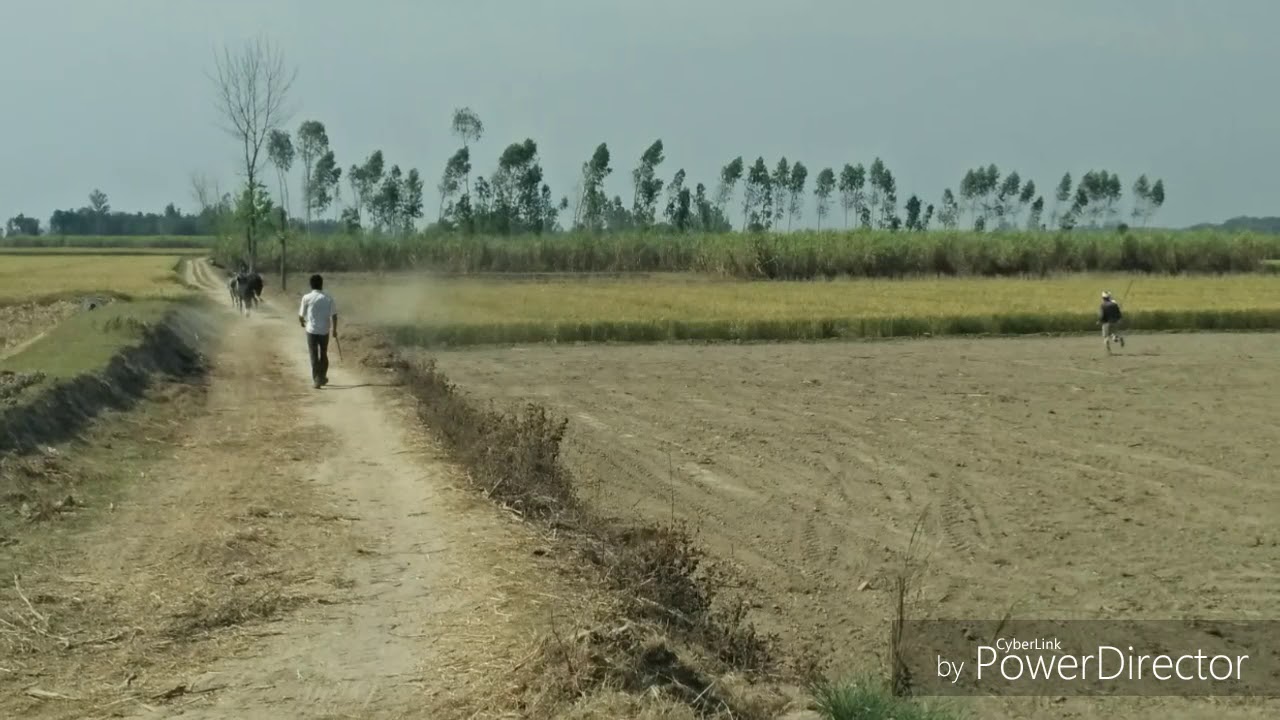 Dasso Keda Roya Nahi C Pind Chhad K || Manmohan Waris || Kamal Heer || Latest Punjabi Song