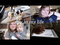 Day in the life of a mom in college 2022 | Respiratory Therapy Student Vlog | Erin Blake