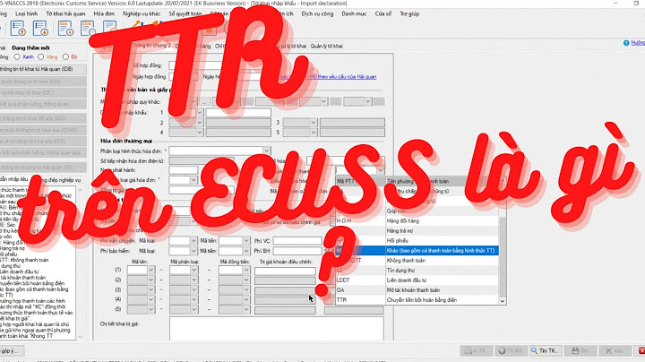 Hình thức tt trong khai hải quan là gì năm 2024