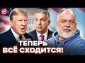 ⚡️ШЕЙТЕЛЬМАН: Теперь ЯСНО, зачем Трамп ПОСЛАЛ Вэнса к Орбану! СЕНСАЦИОННЫЙ СЛИВ поднял весь МИР