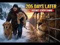 I saved a lion from wolves 3 years ago. Now, I regret my decision.