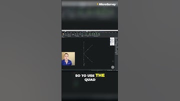 Work Faster with The Quad: SurveyTools for BricsCAD
