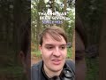 The Lion: Forest Walking - Daily Dose of Warhammer #warhammerlore #warhammer40k #warhammercommunity