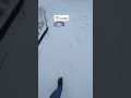 #shortvideo #reels #reelsinstagram #shorts #shortsfeed