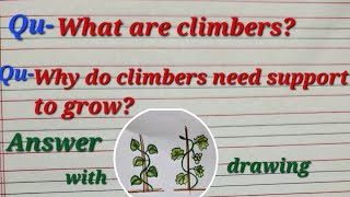 What are climbers for class1and 2, Why do climbers need support to grow , easy for class1and 2