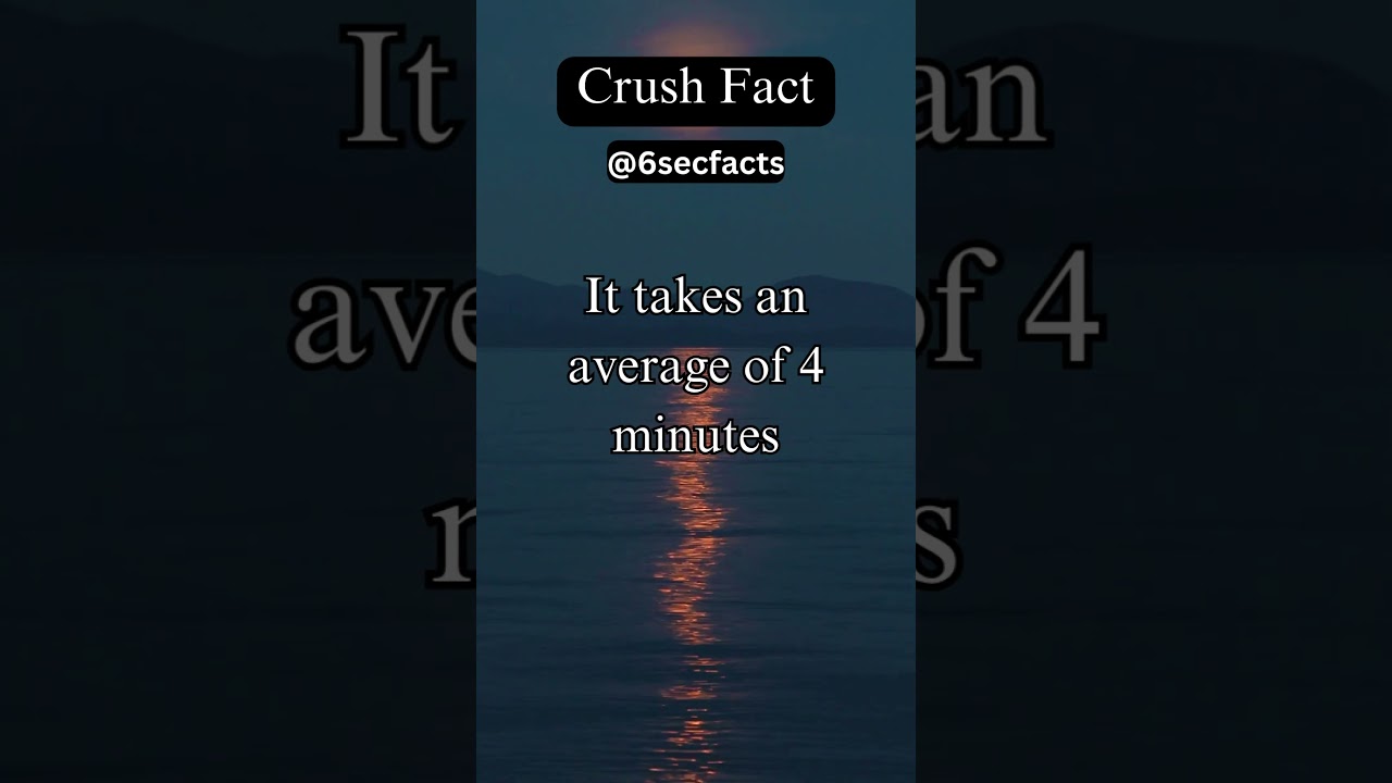 Your Daily Crush Fact in 6 Seconds 
