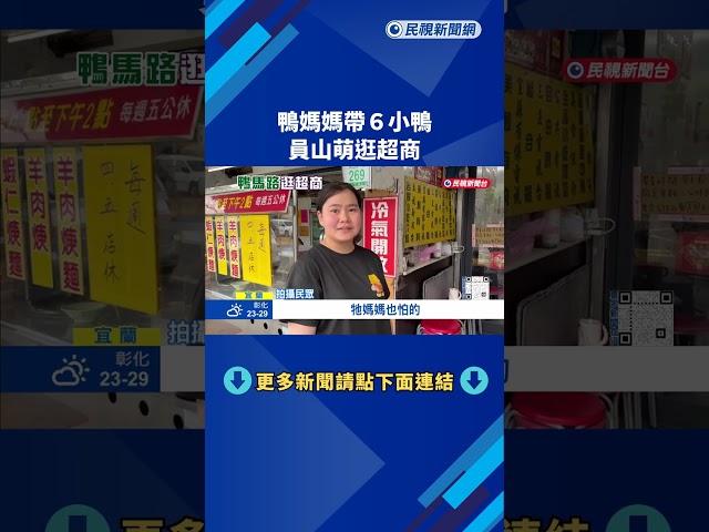 "鴨"馬路! 鴨媽媽帶6寶逛進宜蘭超商 網友:實在太可愛－民視新聞