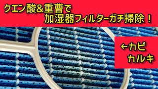 【フィルター掃除ガチ勢①】3分で覚える加湿器フィルター掃除