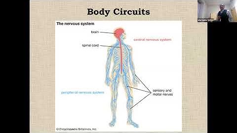 A New Approach to Understanding the Meaning of Behaviours in End Stage Dementia Care PART 1/3