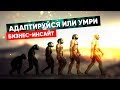 ПОЧЕМУ НЕЛЬЗЯ БРОСАТЬ КОТЯТ В ВОДУ? Правда об адаптации персонала. Управление персоналом.