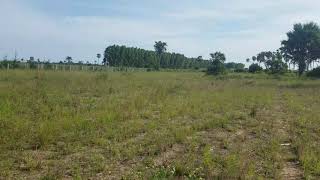 Video of Farm land for sale Kwale Majoreni area  in Kenya
