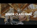 Cat judging: Junior Class Final from Seattle Cat Extravaganza 2023