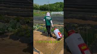 시원한 물줄기 머금고 자라 #전동분무기 #분무기 #충전분무기 #유니즈 #농기계