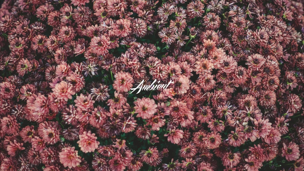 Daigo Hanada - Solitude camera iphone 8 plus apk