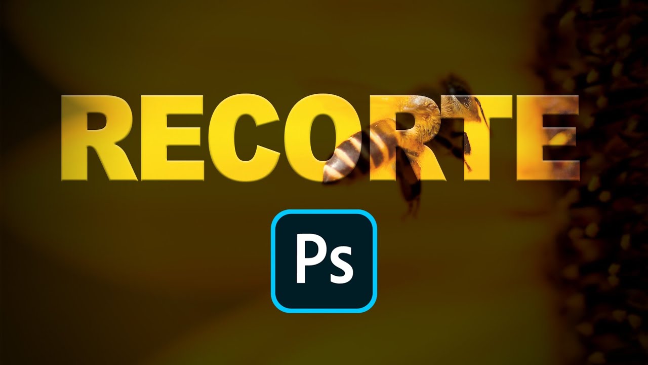 Todo Sobre Máscaras de Recorte ¡Guía Definitiva! Photoshop