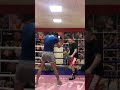 Vadim Musaev | boxing