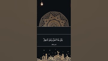 وقل جاء الحق وزهق البطل ان الباطل كان زهوقا سورة الاسراء(٨١) #قرآن #حالات_واتس