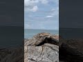 PATONG BEACH PAR SUBHA SUBHA AA GAYA DOSTO