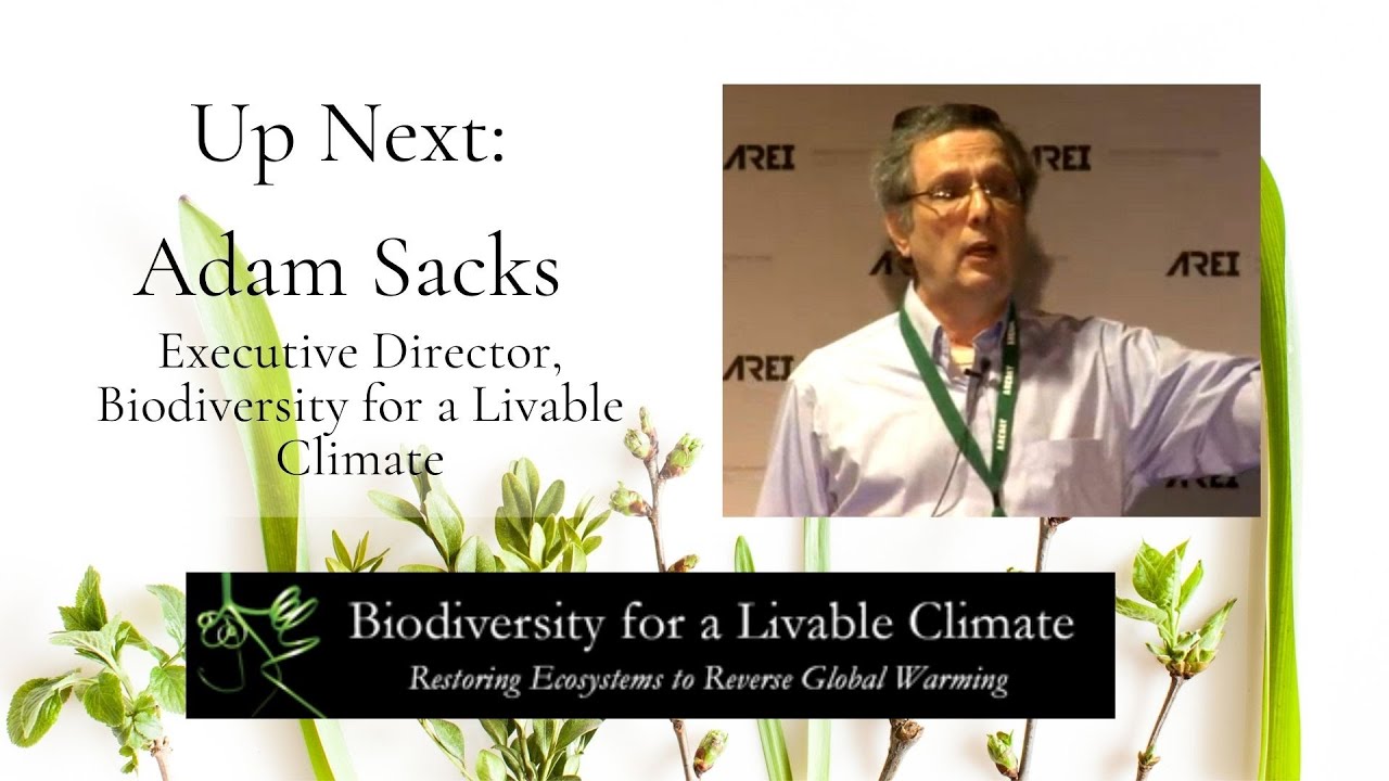 Still So Human an Animal by Adam Sacks