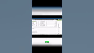 How To Do An SEO Audit? Essential Steps For Beginners!