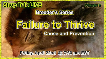 Shop Talk LIVE - Failure to Thrive - Breeder