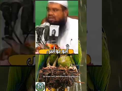 يقول شعر قليل الادب ابو نواس الشيخ سمير مصطفى سمير مصطفى الشاعر شعر شعراء شعر شعبي شعر عراقي