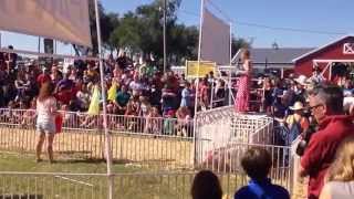 Pig Races at the Kansas State Fair 2014
