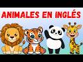 Aprende los nombres de los animales en inglés | Video educativo para niños🔴Live