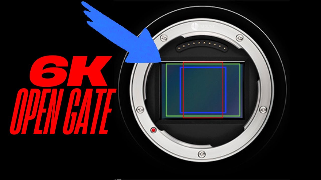 Why Open Gate is Taking Over! (ft. LUMIX S5IIX) - YouTube