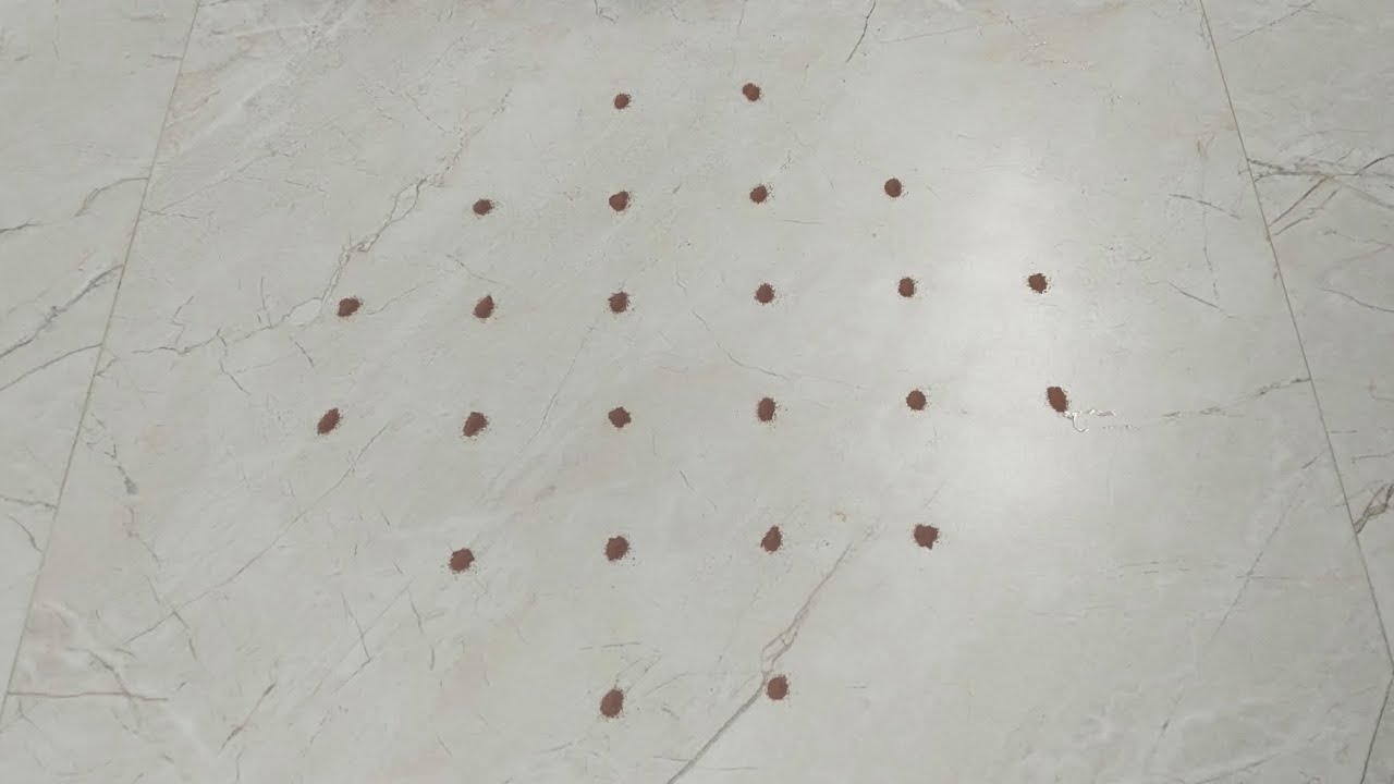 flower design kolam | choti rangoli | 6*2,2 dots | beginners rangoli ...