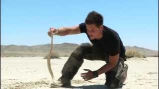 G'zOne Adventure with Alex Jones - Scene 1 Snake Hunt