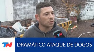 Impactante Relato Del Hombre Que Mató A Los Dogos En Córdoba Eran Una Máquina De Matar