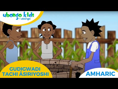 Amharic | gudigwadi tachi āsiriyoshi | Ubongo Kids