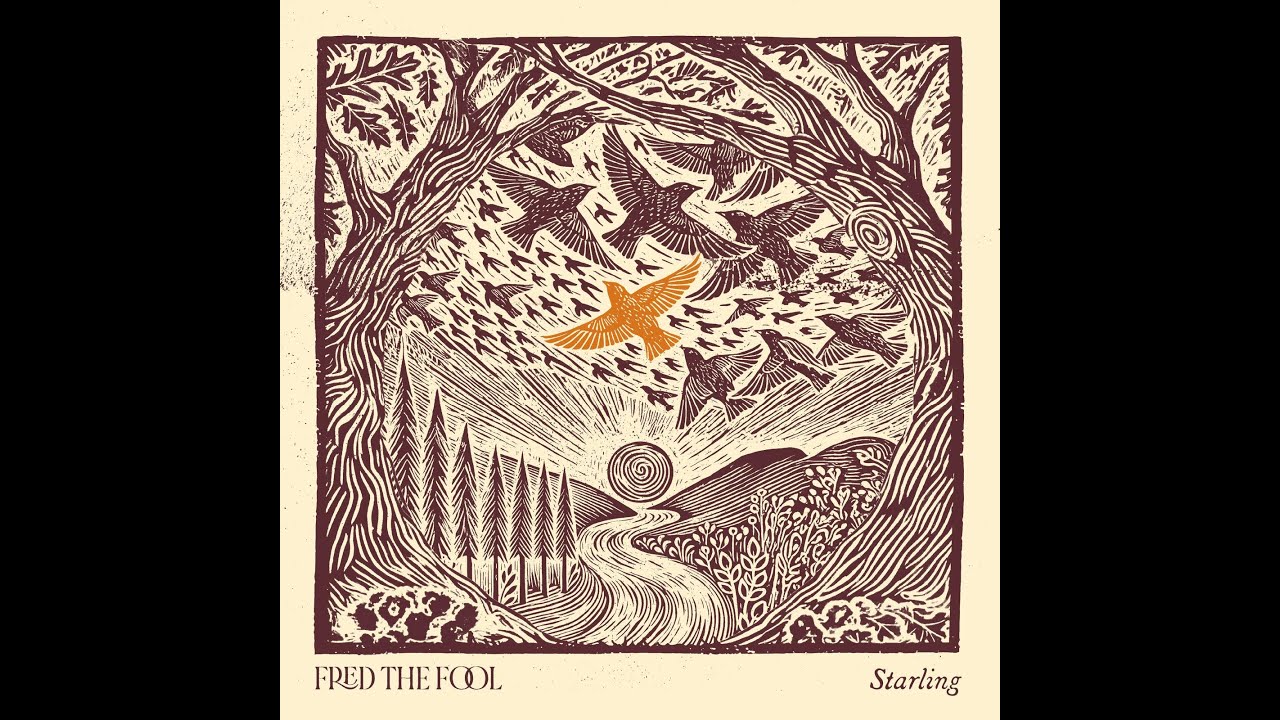 Watch Starling on YouTube Watch Starling on YouTube