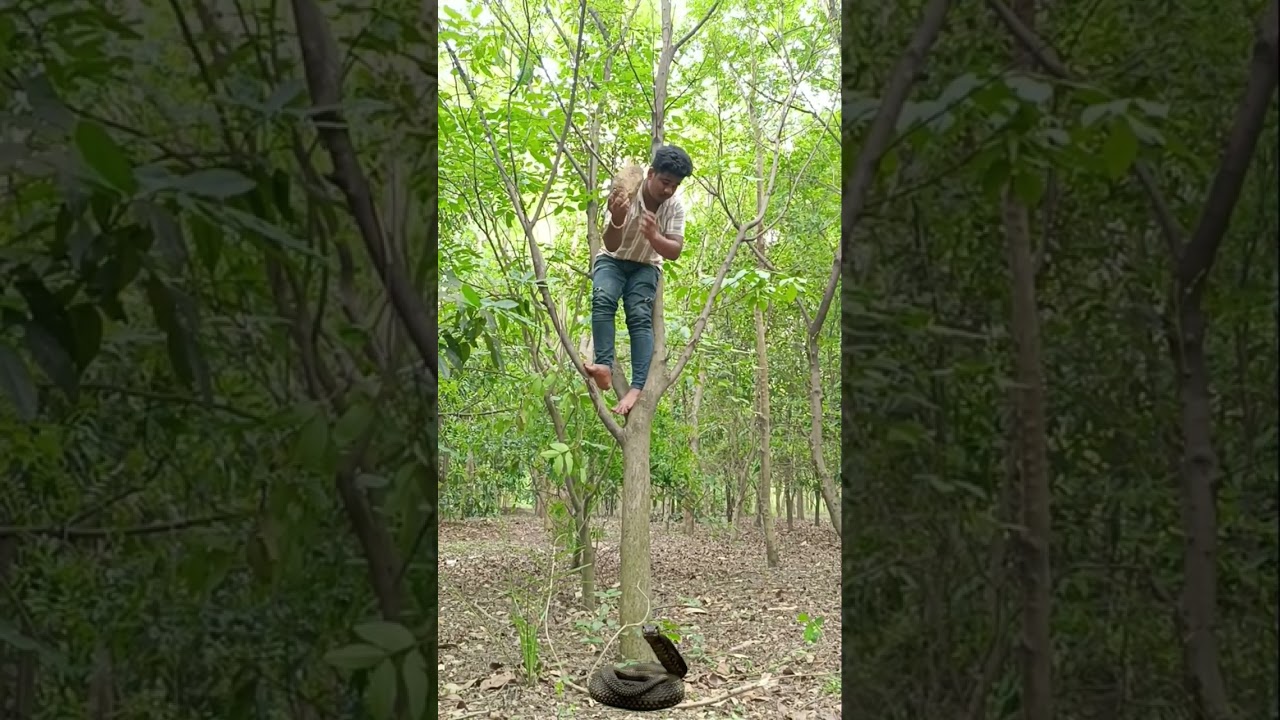 a real snake 🐍🐍 in my village catching me.         