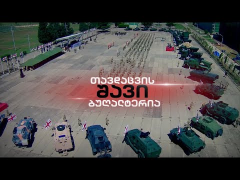 \"დელტას\" აუდიტი თავდაცვის სამინისტროში - სად გაქრა უწყების 700 მილიონი