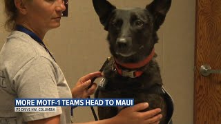 Missouri Task Force 1 sends additional crew, including canines, to Maui