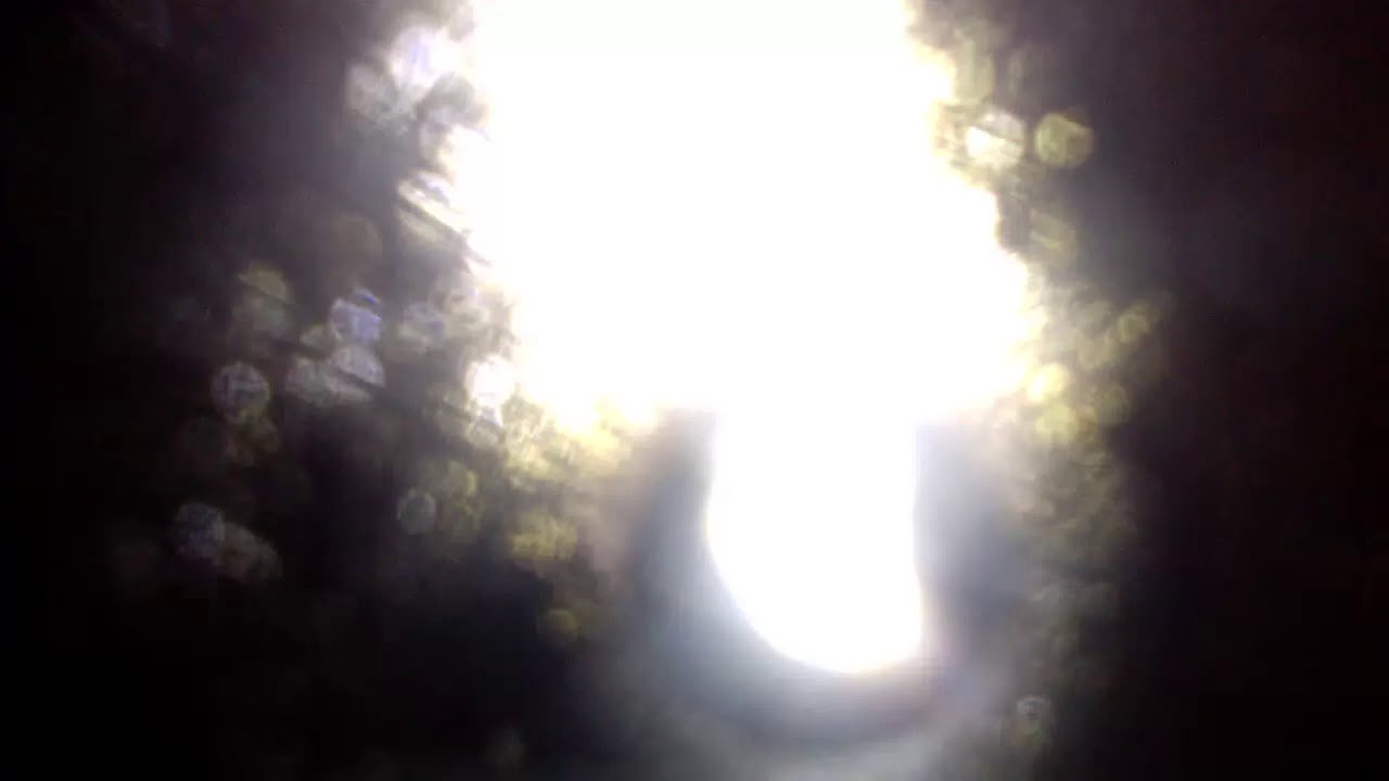 FNAF Plush - The Swim!