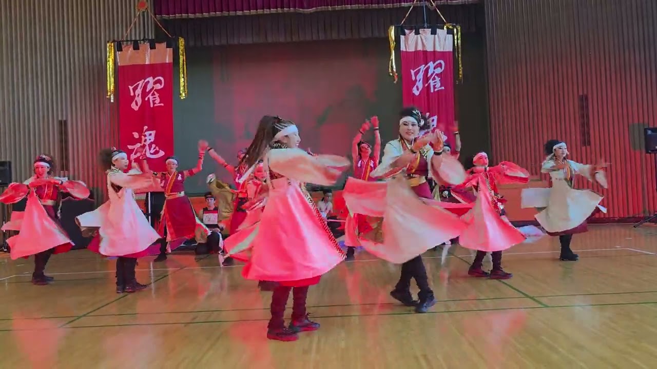 ✨函館踊魂いさり火３０周年記念公演✨