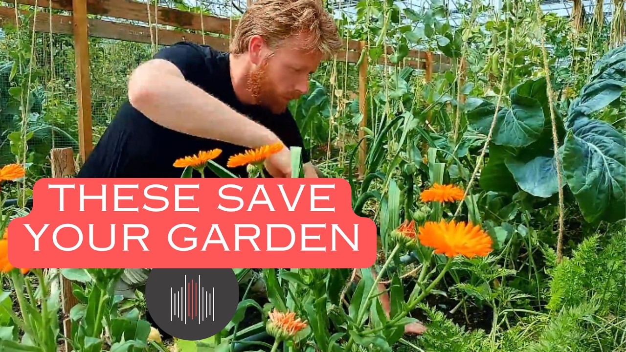 The BEST Companion Plants to Fight June Pests - Don't Miss Out!